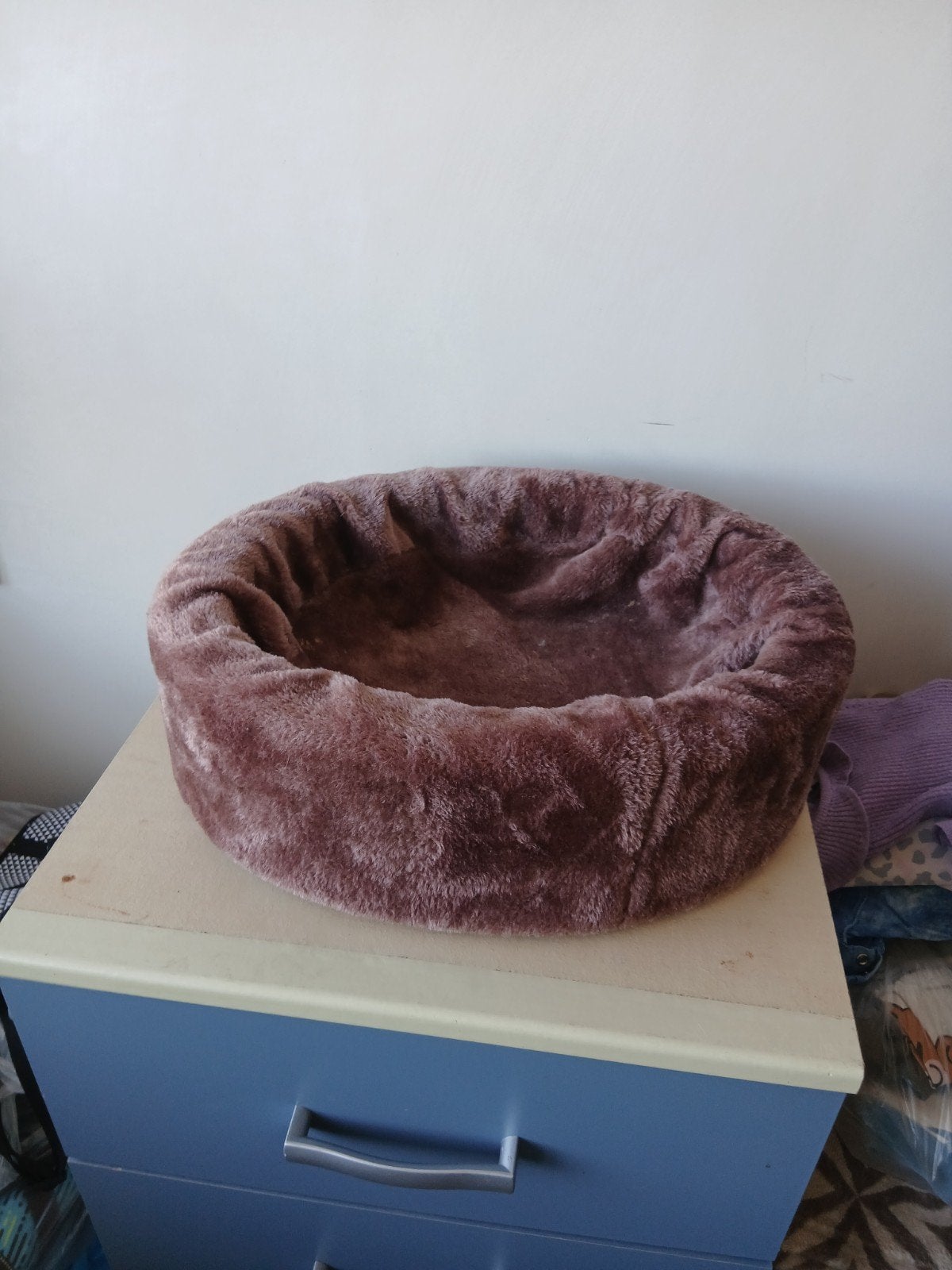 leuk honden of katten mandje, Ophalen, Gebruikt, Overige