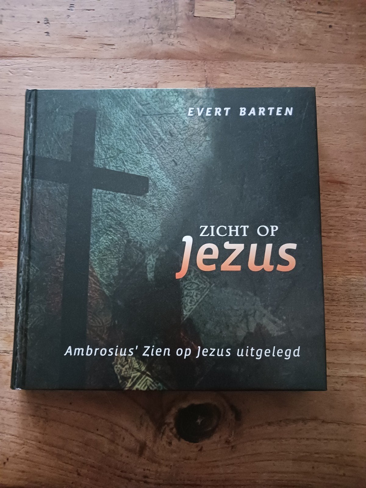 Zicht op Jezus - Ambrosius' Zien op Jezus uitgelegd, Boeken, Ophalen of Verzenden, Zo goed als nieuw, Christendom | Protestants