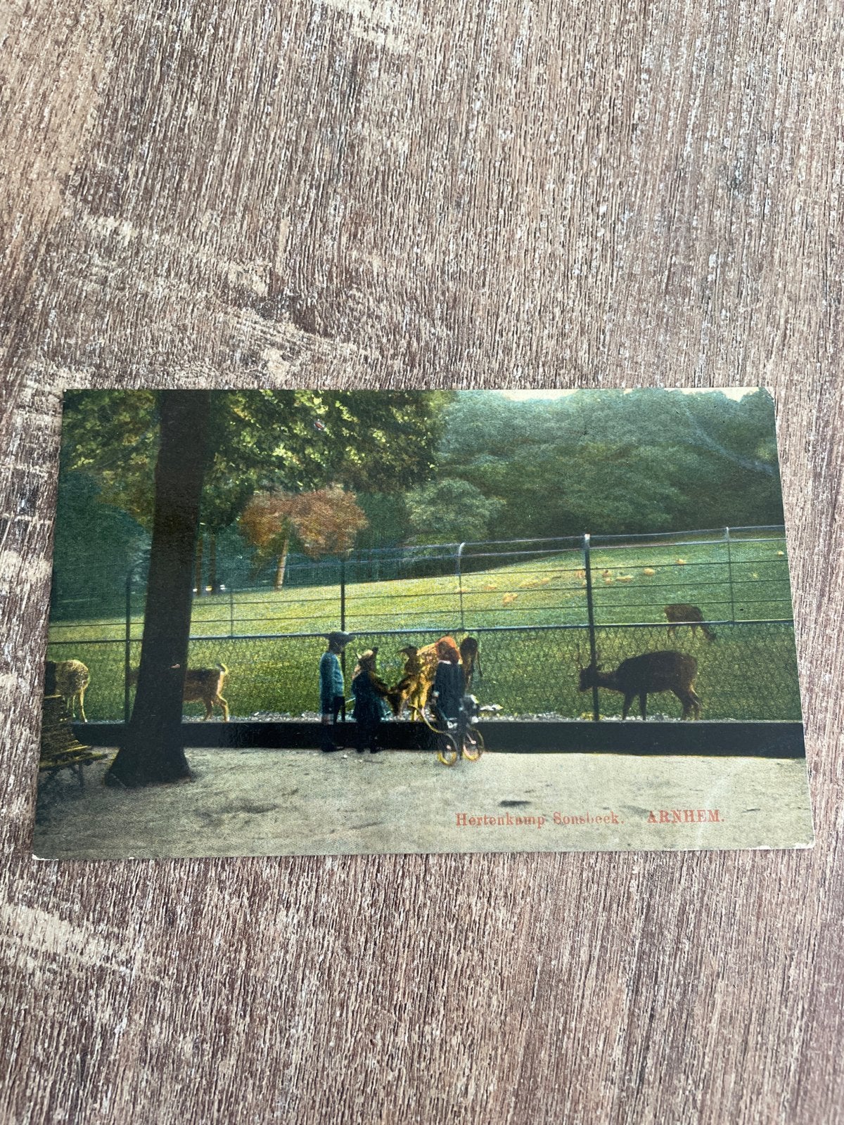 Oude ansichtkaart Hertenkamp Sonsbeek Arnhem, Ophalen of Verzenden, Voor 1920, Gelopen, Gelderland