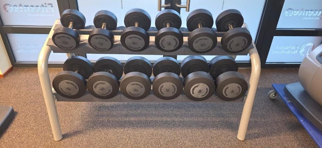 Dumbbell Rack Technogym incl. dumbbells, Sport en Fitness, Ophalen, Zo goed als nieuw, Benen, Dumbbell
