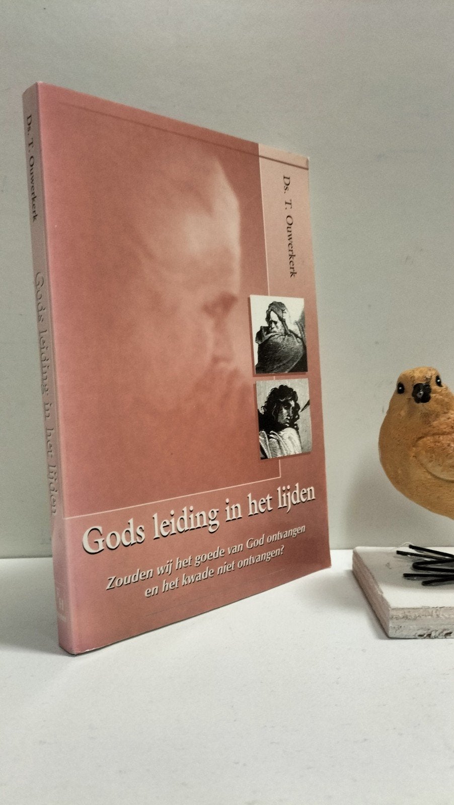 Ouwerkerk, Ds. T.; Gods leiding in het lijden, Ophalen of Verzenden, Gelezen, Christendom | Protestants