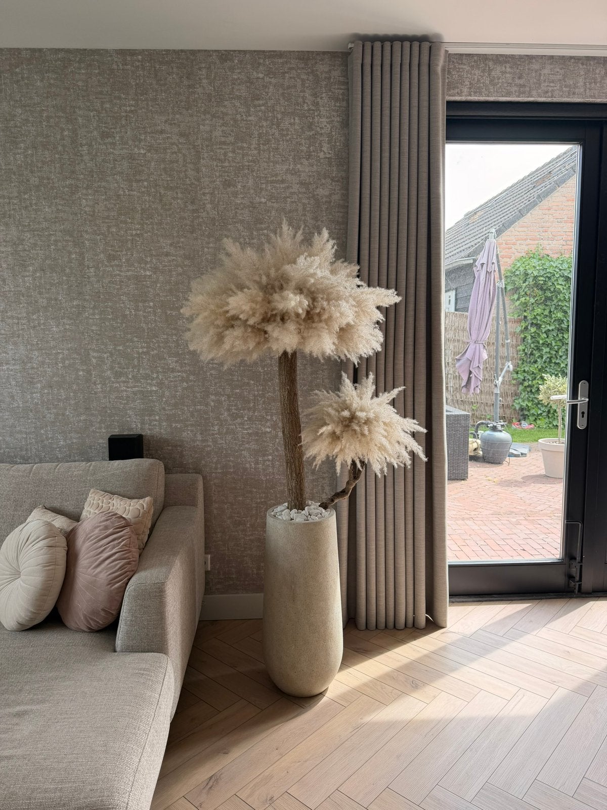 Pampas boom, Lvkvazen, Nieuw, Info@lvkvazen.com, Ophalen