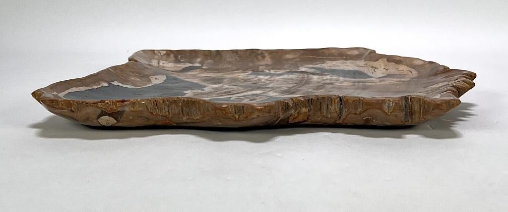 639. Versteend hout, Ophalen of Verzenden