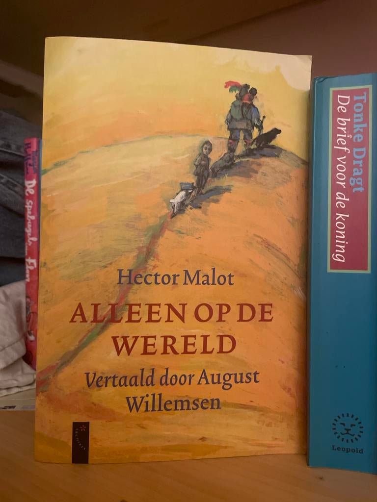 Alleen op de Wereld - Hector Malot (Vertaald door August Wil, Ophalen of Verzenden, Gelezen, Europa overig