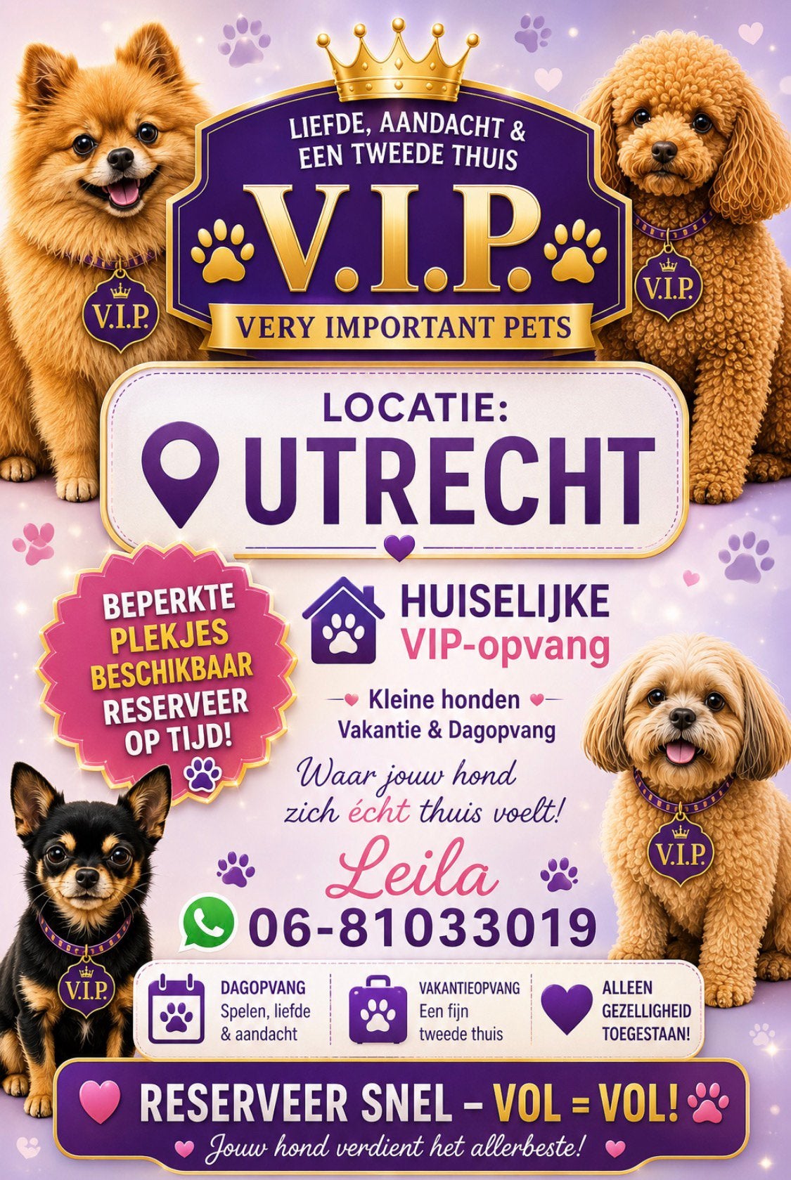 Betrouwbare hondenoppas, Dieren en Toebehoren, Ophalen of Verzenden