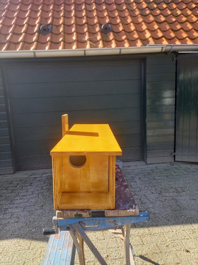 Steenuil kast bruin gelakt, Ophalen, Hout
