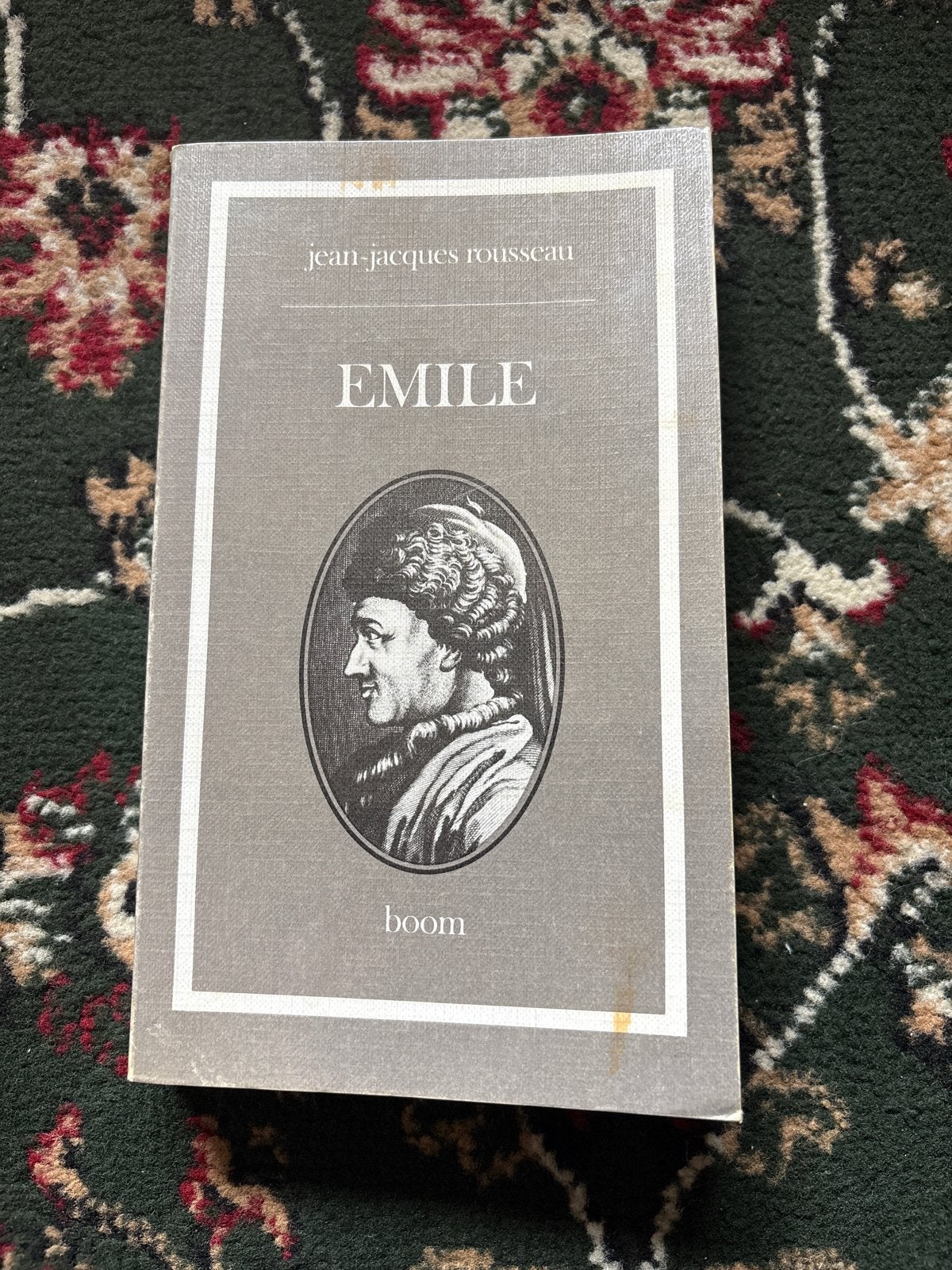 Emile of Over de opvoeding - Jean-Jacques Rousseau, Boeken, Ophalen of Verzenden, Gelezen, Europa overig