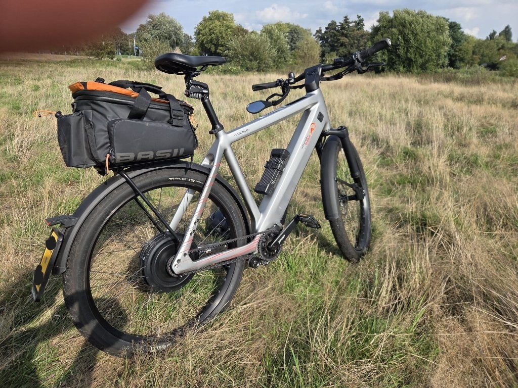 Stromer ST3 Speed Pedelec Pinion Alinghi Red Bull Racing, Ophalen, Zo goed als nieuw, Stromer, 59 cm of meer