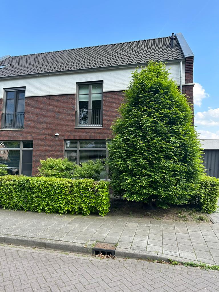 Gratis aftehalen, Ophalen, Volle zon, Overige soorten