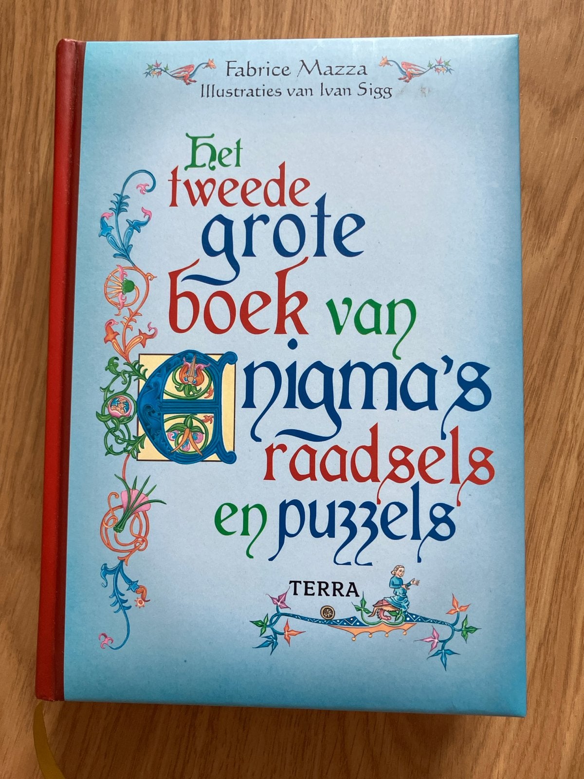 Het tweede grote boek van enigma's, raadsels en puzzels, Ophalen of Verzenden, Zo goed als nieuw, Puzzelboek