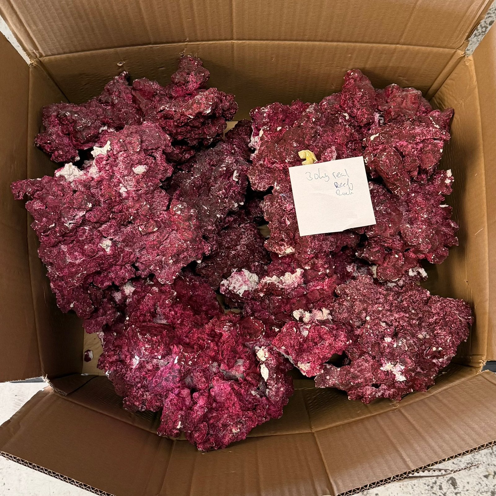 30 kilo Real Reef Rock Zeeaquarium, Ophalen, Nieuw, Plant(en), Steen of Hout, Overige merken