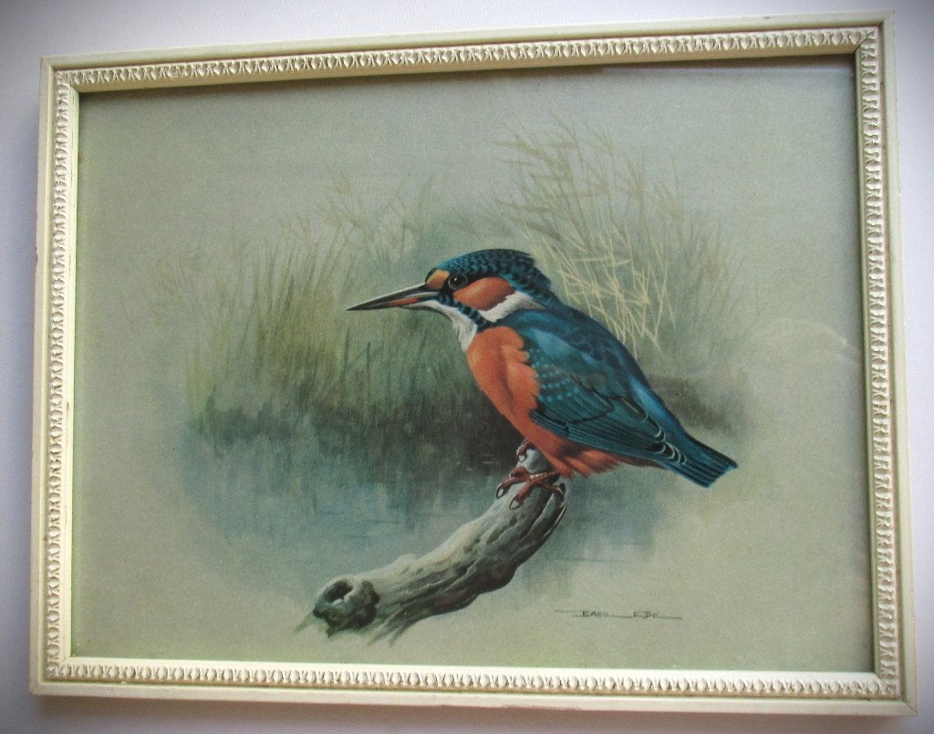 IJsvogel~Basil Ede~Kingfisher~Kunstdruk in Houten lijst, Antiek en Kunst, Ophalen of Verzenden