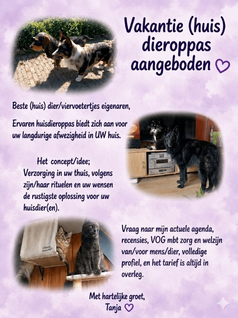 Vakantie oppas, paarden meisje, consequent lief, Toebehoren, 2 of 3 paarden of pony's
