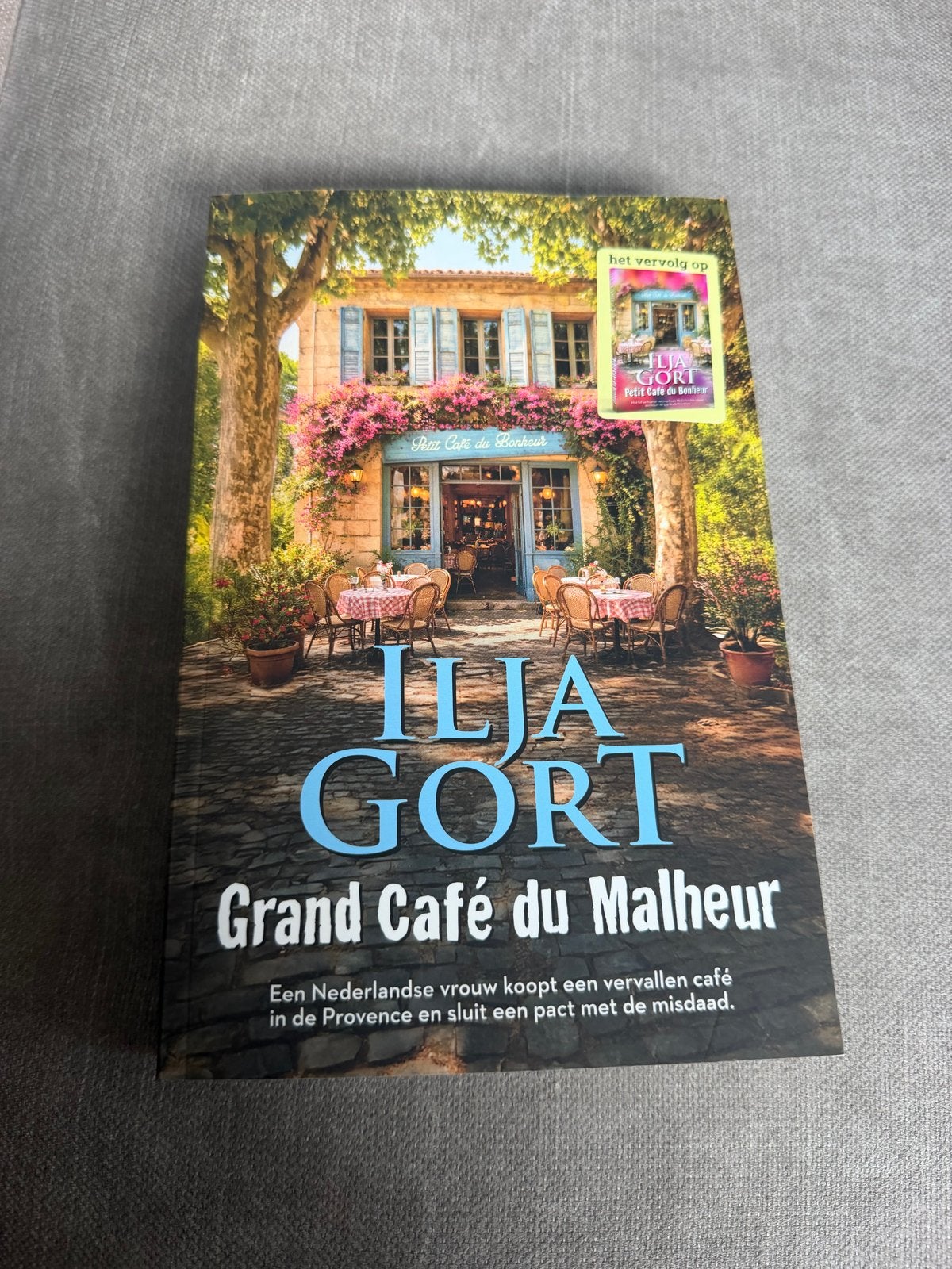 Ilja Gort - Grand Café du Malheur (deel 2 Valfleury-reeks), Verzenden, Nieuw, Nederland