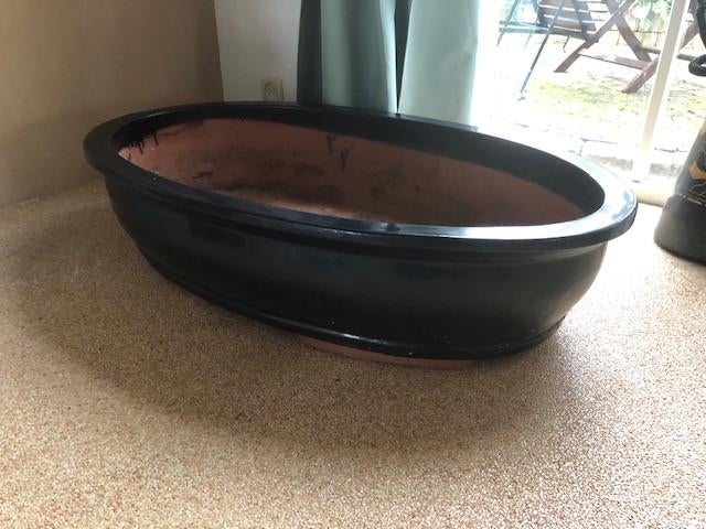 Bonsai schaal XXXL, Ophalen, 40 cm of meer, Binnen, Zo goed als nieuw