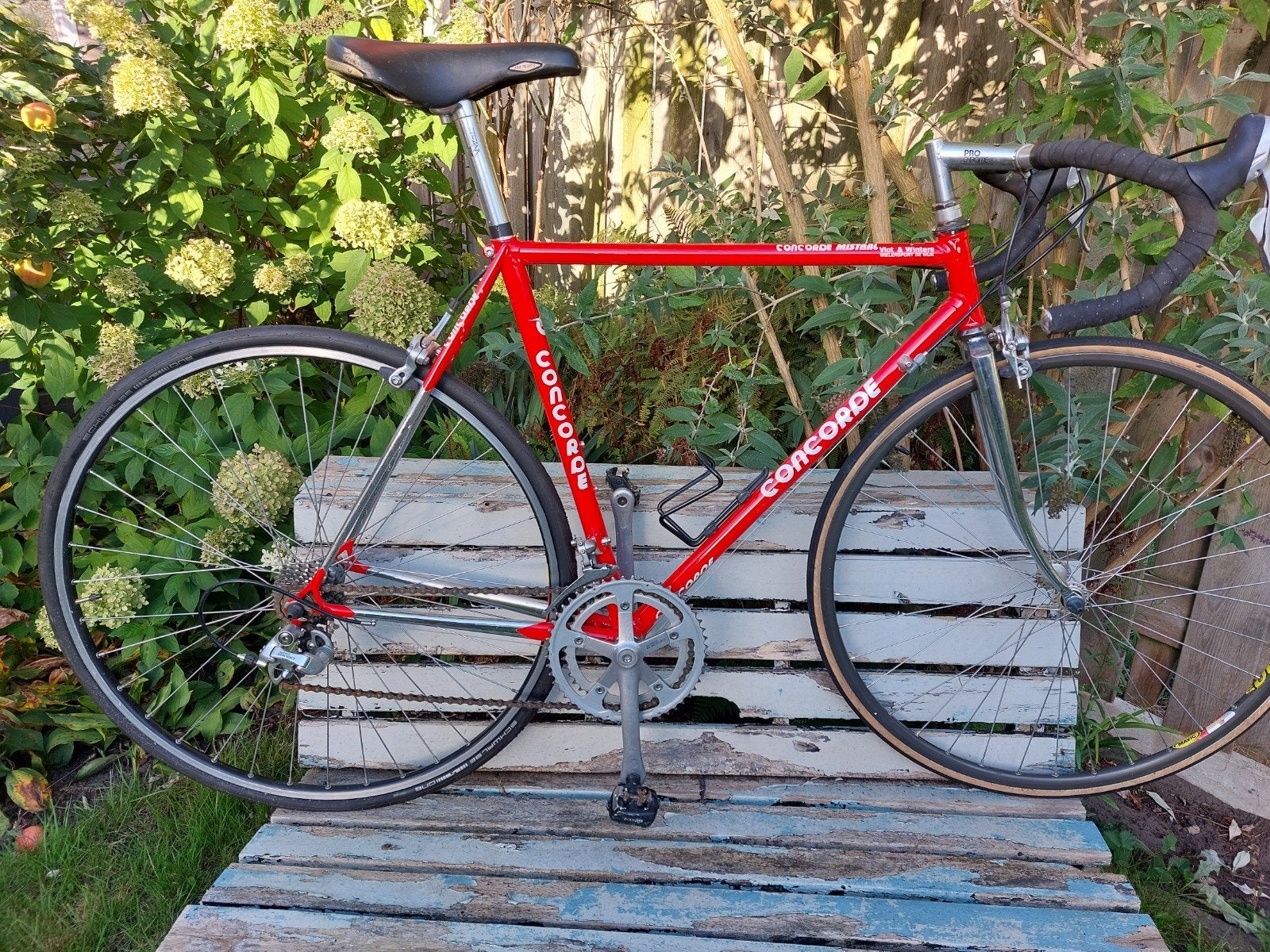 Concorde Mistral racefiets - Rood, 28 inch, 16 versnellingen, Fietsen en Brommers, Gebruikt, Aluminium, 53 tot 57 cm, Ophalen