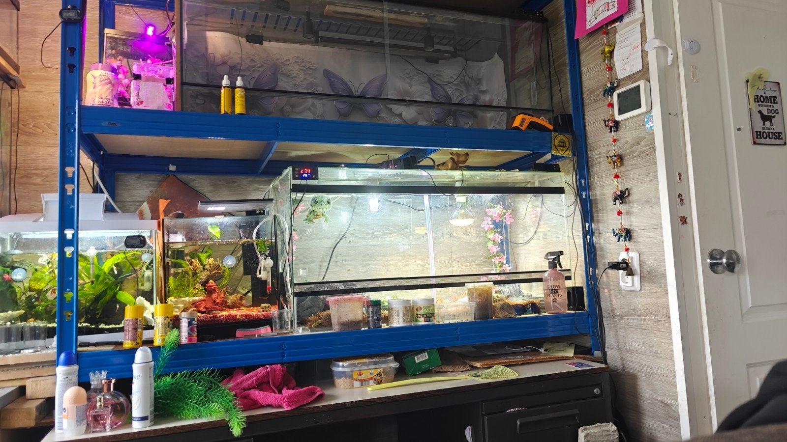 Terrarium, Ophalen