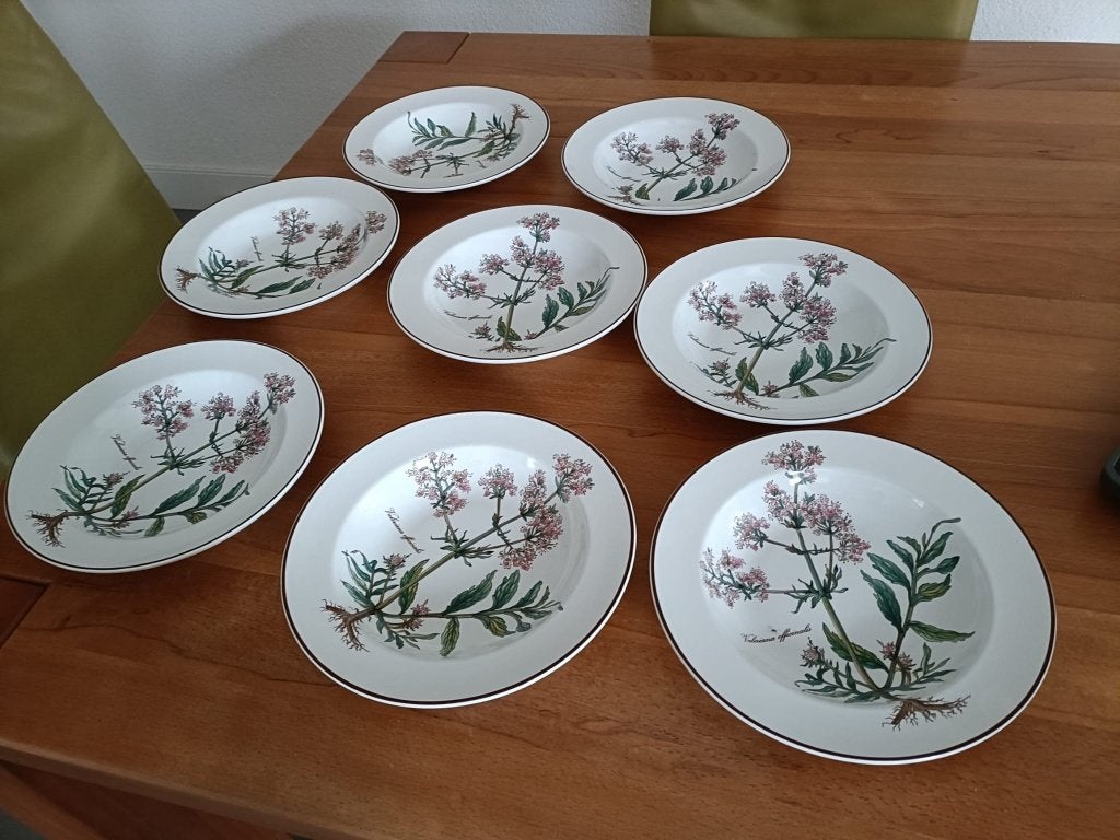 Villeroy & Boch Botanica - Diepe borden, Ophalen, Villeroy & Boch, Zo goed als nieuw, Bord(en)