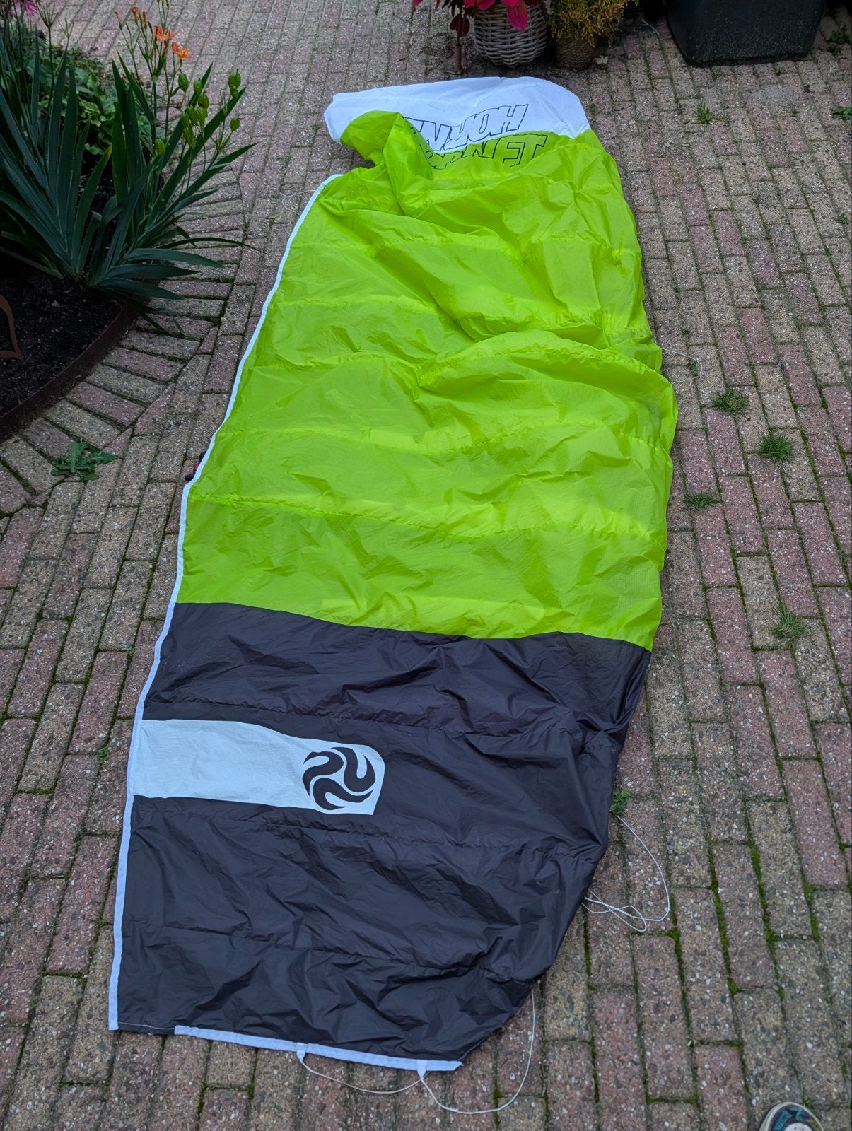 Peter Lynn Hornet 3.0 powerkite - Zo goed als nieuw, Ophalen of Verzenden, Zo goed als nieuw, Vierlijns