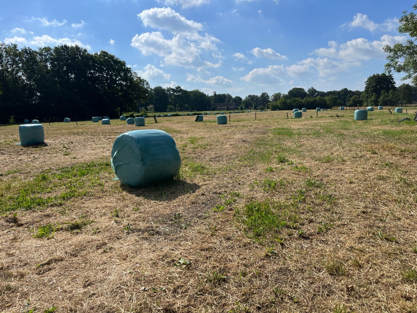 Midi balen  hooi eerste snede, Ophalen