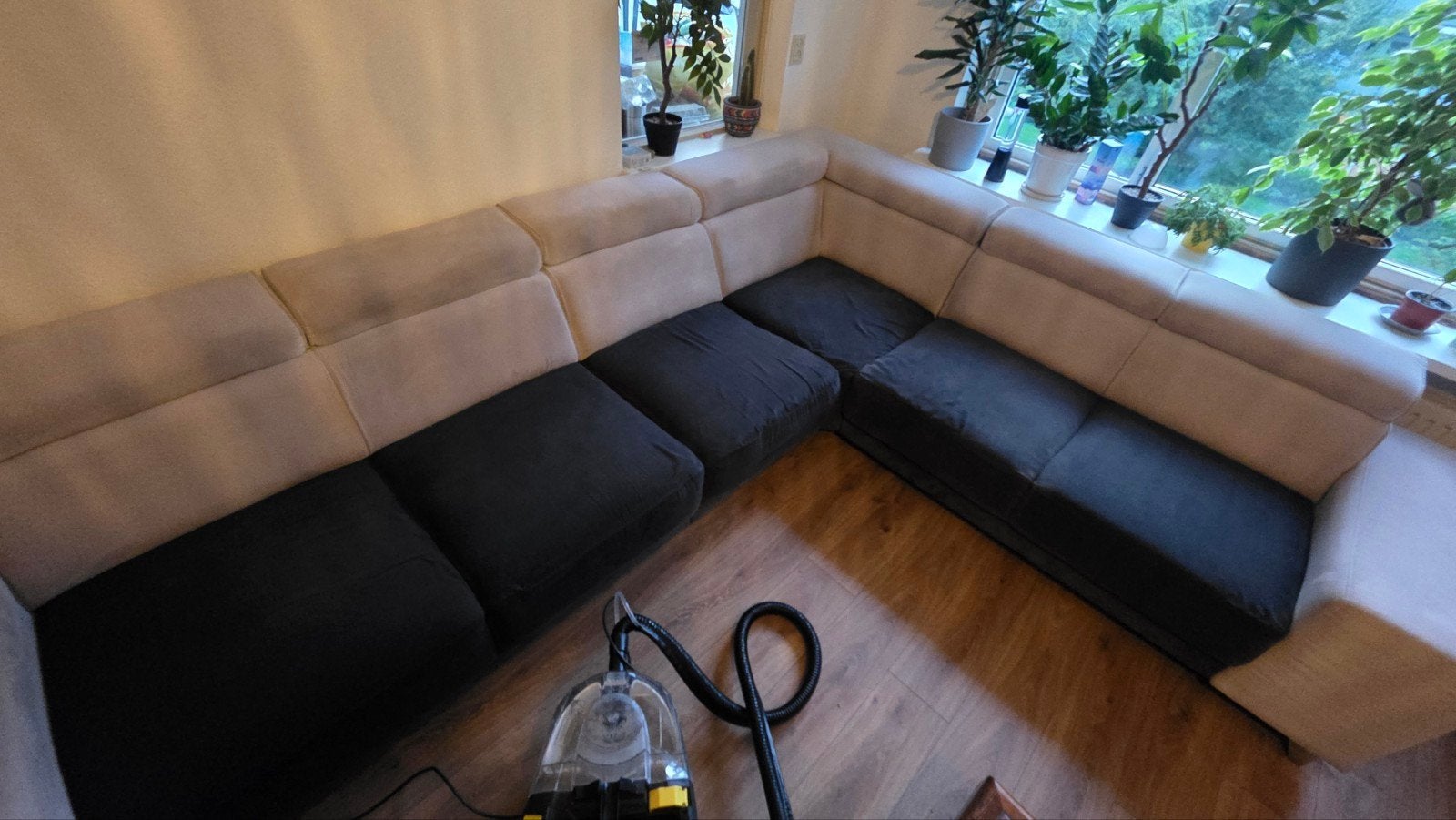 Foto 11 van Professionele meubel- en tapijtreiniging vanaf €65