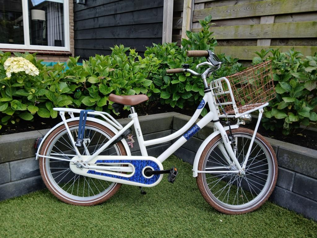 Alpina Cargo 20 inch meisjesfiets, Fietsen en Brommers, Ophalen, Terugtraprem, Gebruikt, Alpina