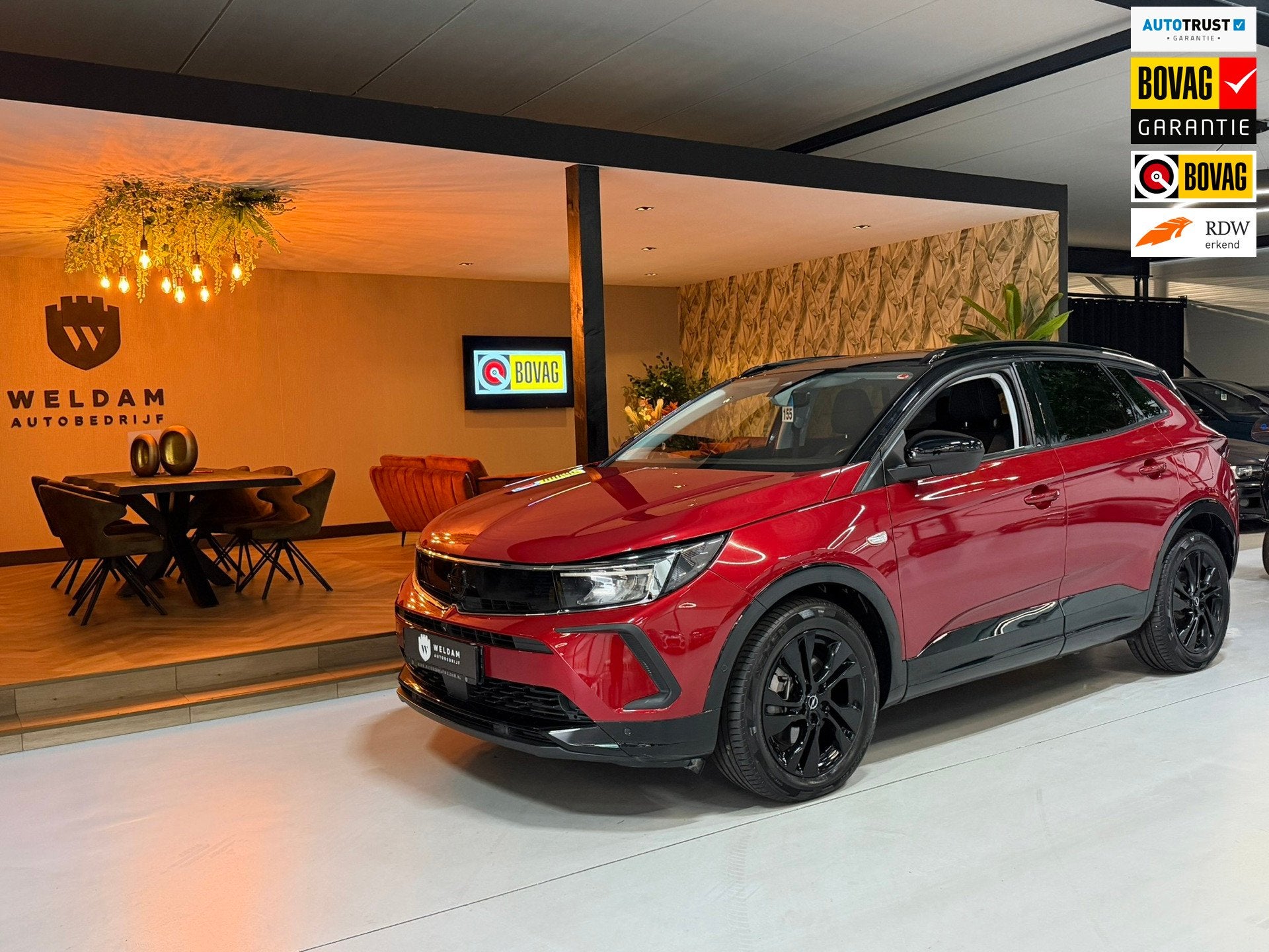 Opel Grandland 1.6 Turbo Plug-In Hybrid GS Line 224PK Bi-Col, Auto's, Dealer onderhouden, 4 cilinders, Met garantie (alle), Hybride Elektrisch/Benzine