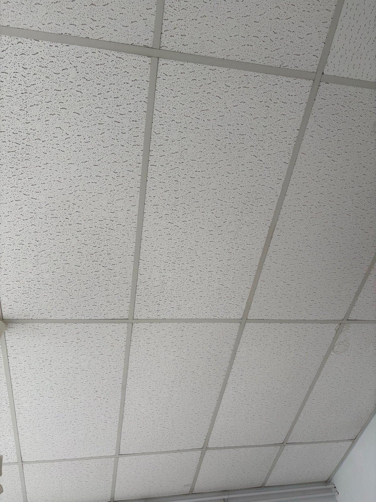 Systeemplafondplaten en -profielen, ca. 36m2, zelf demontere, Ophalen of Verzenden, Gebruikt