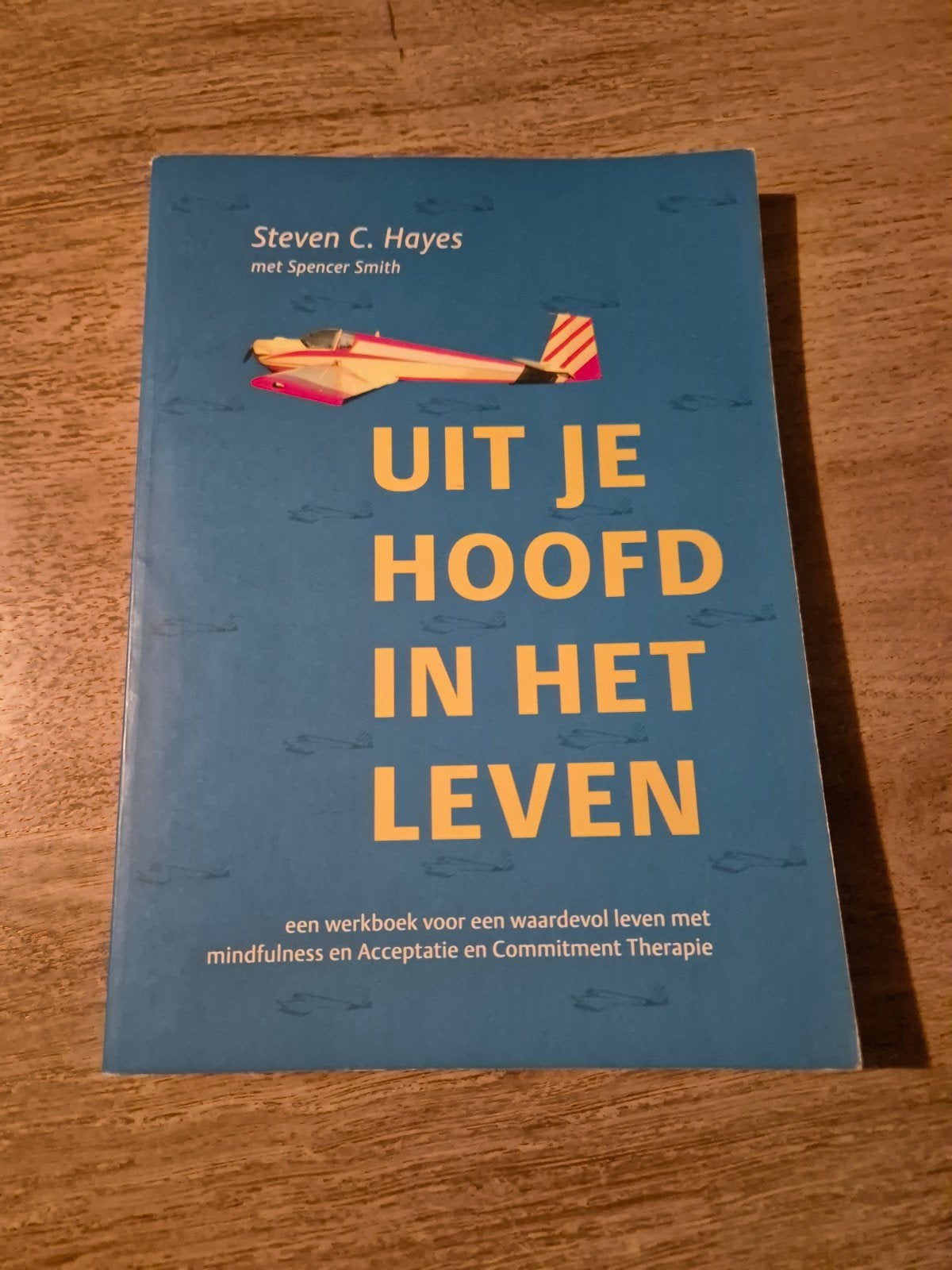 Uit je hoofd in het leven - Steven C. Hayes, Boeken, Ophalen of Verzenden, Zo goed als nieuw, Steven C. Hayes