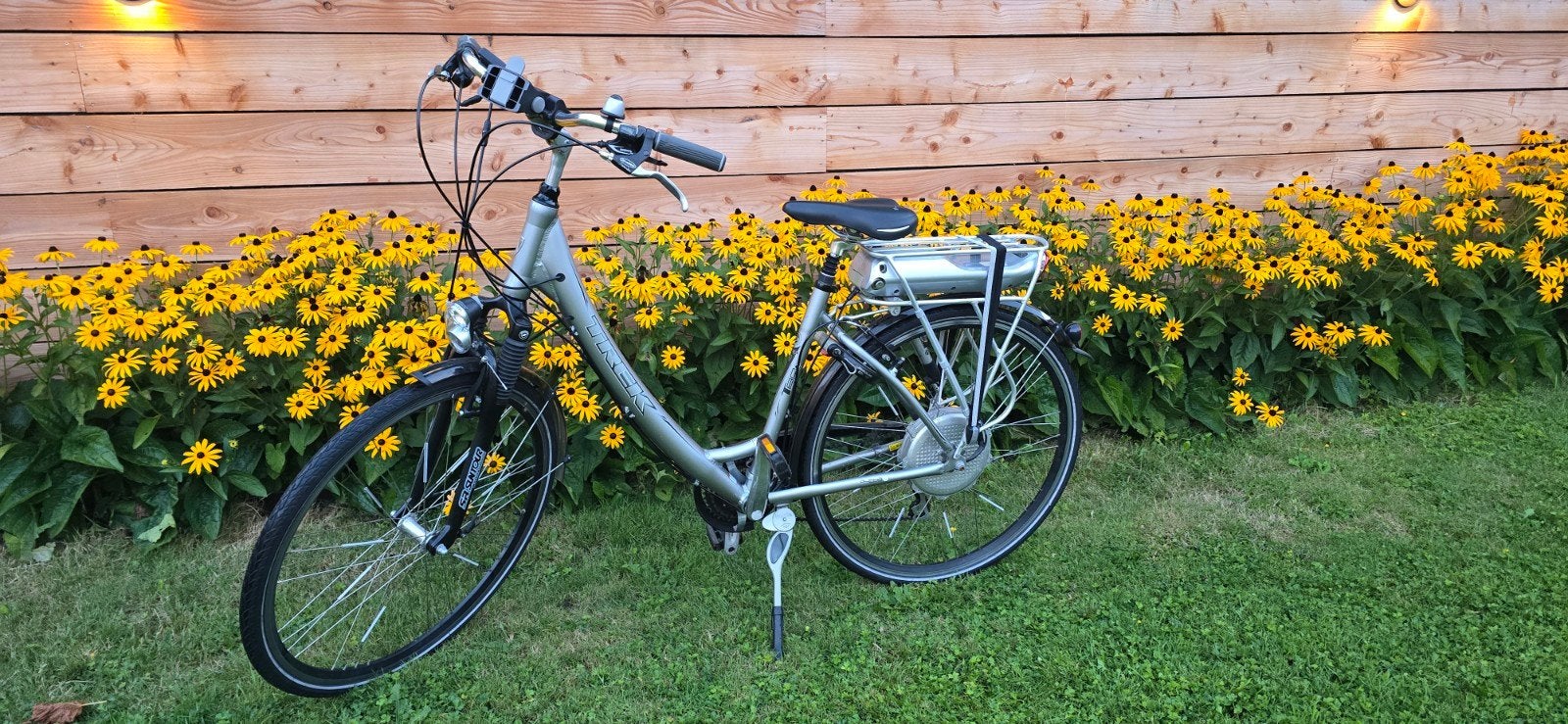 Trek Navigator E-bike - Framehoogte 53 cm, Fietsen en Brommers, Elektrische fietsen, 51 tot 55 cm, Ophalen, Gebruikt, Overige merken
