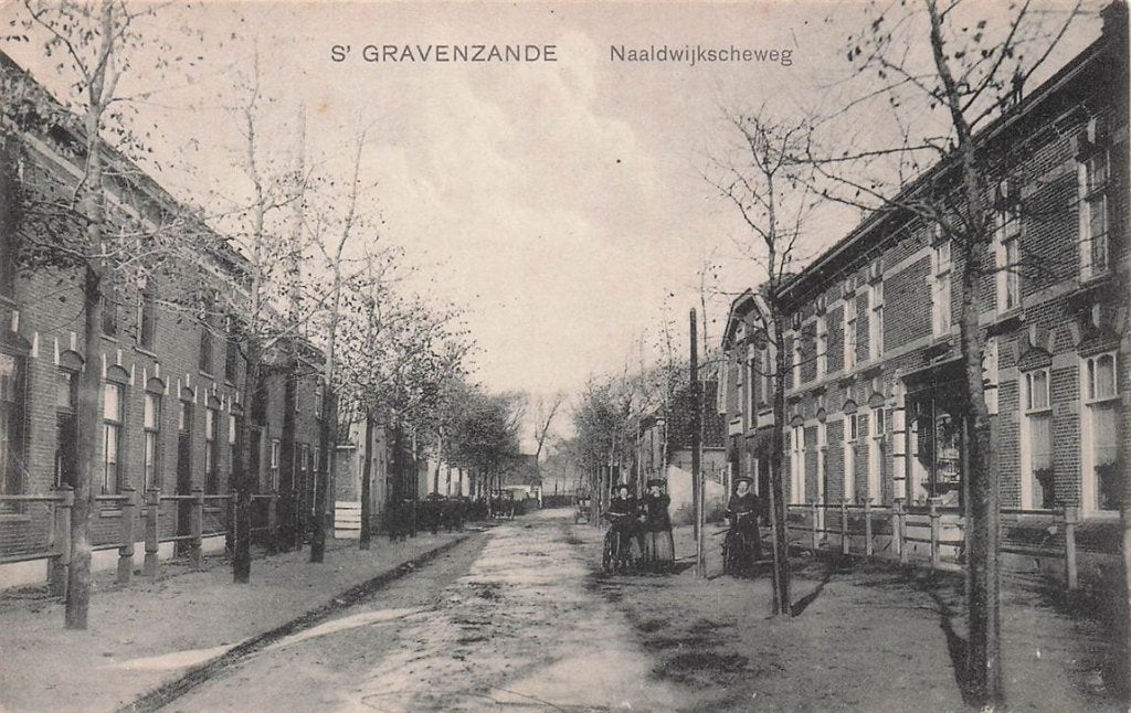 702-418-025 S' Gravenzande Naaldwijkscheweg, Verzenden, Voor 1920, Zuid-Holland