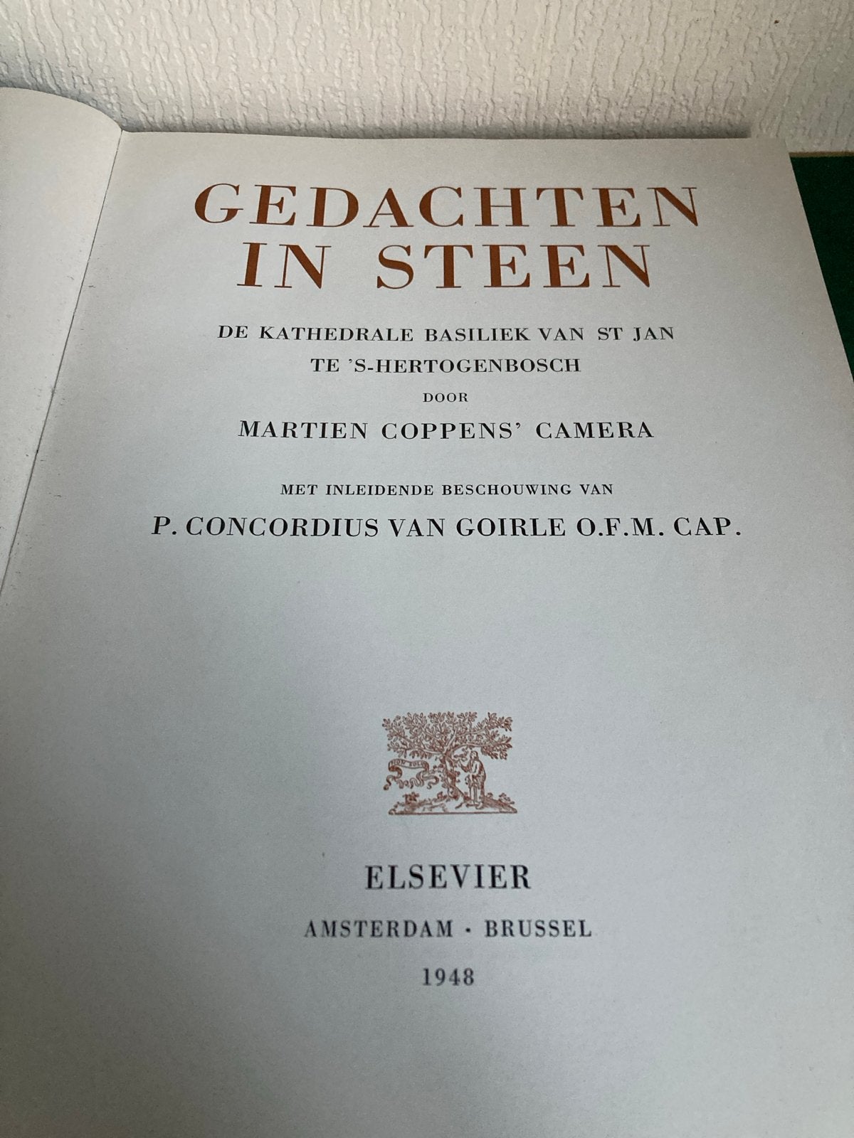 Gedachten in Steen: St. Jan 's-Hertogenbosch - Martien Coppe, Ophalen of Verzenden, Gelezen, Christendom | Katholiek