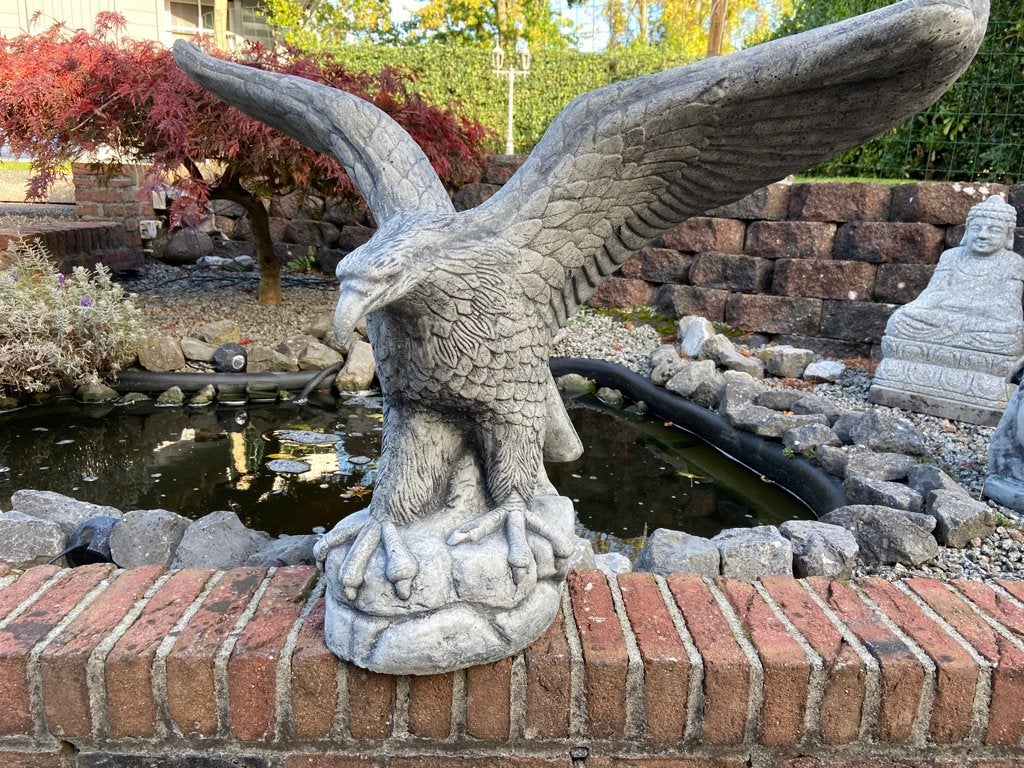 Adelaar, Hoogte 70cm., Ophalen, Nieuw, Beton, Dierenbeeld