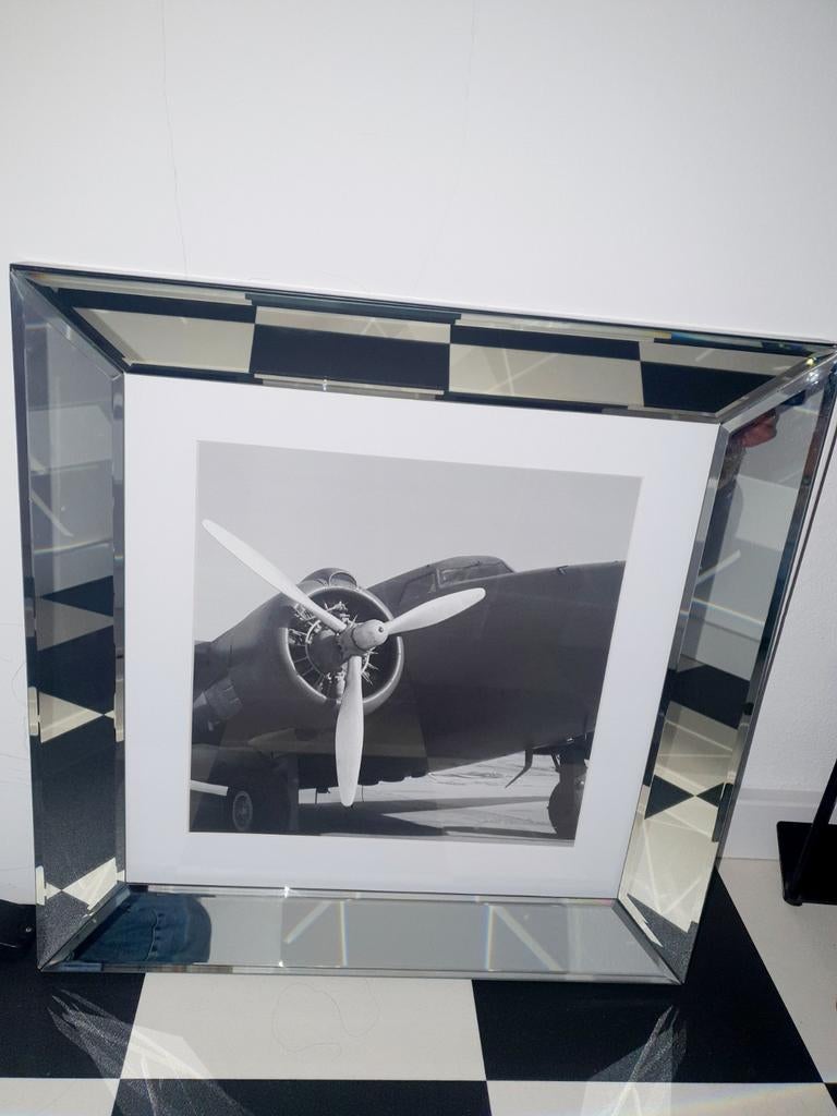 Spiegelfotolijst Vintage Flight IV Janet Van Arsdale, Ophalen