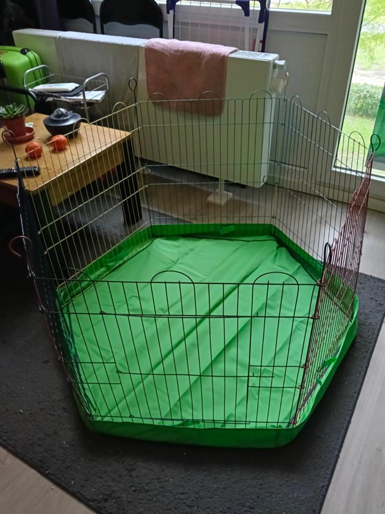Ren met bodemhoes, Dieren en Toebehoren, Ophalen