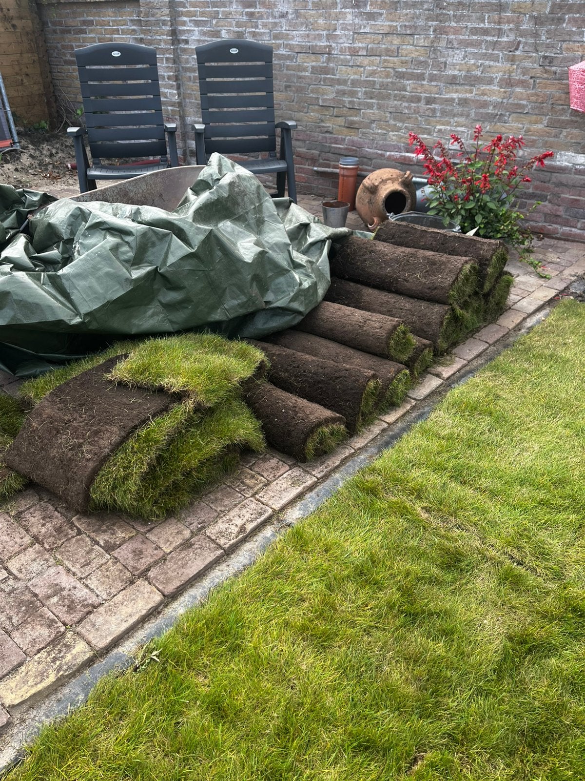 Grasmatten GRATIS, Ophalen, Zo goed als nieuw, 20 m² of meer