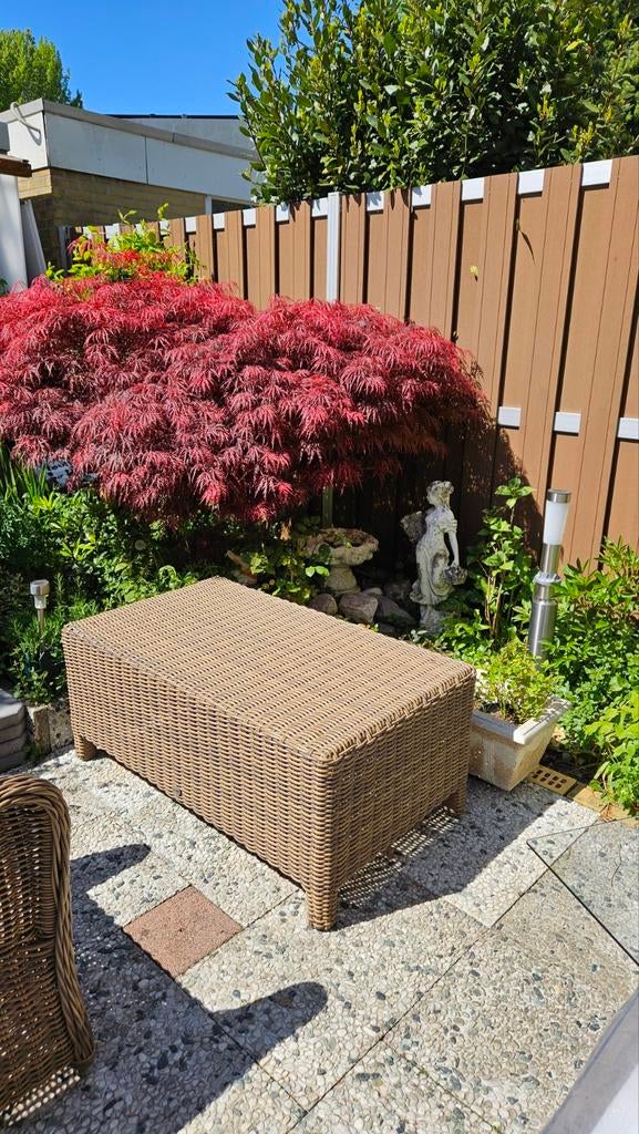 4Seasons salon/lounge tafel, Ophalen, Gebruikt