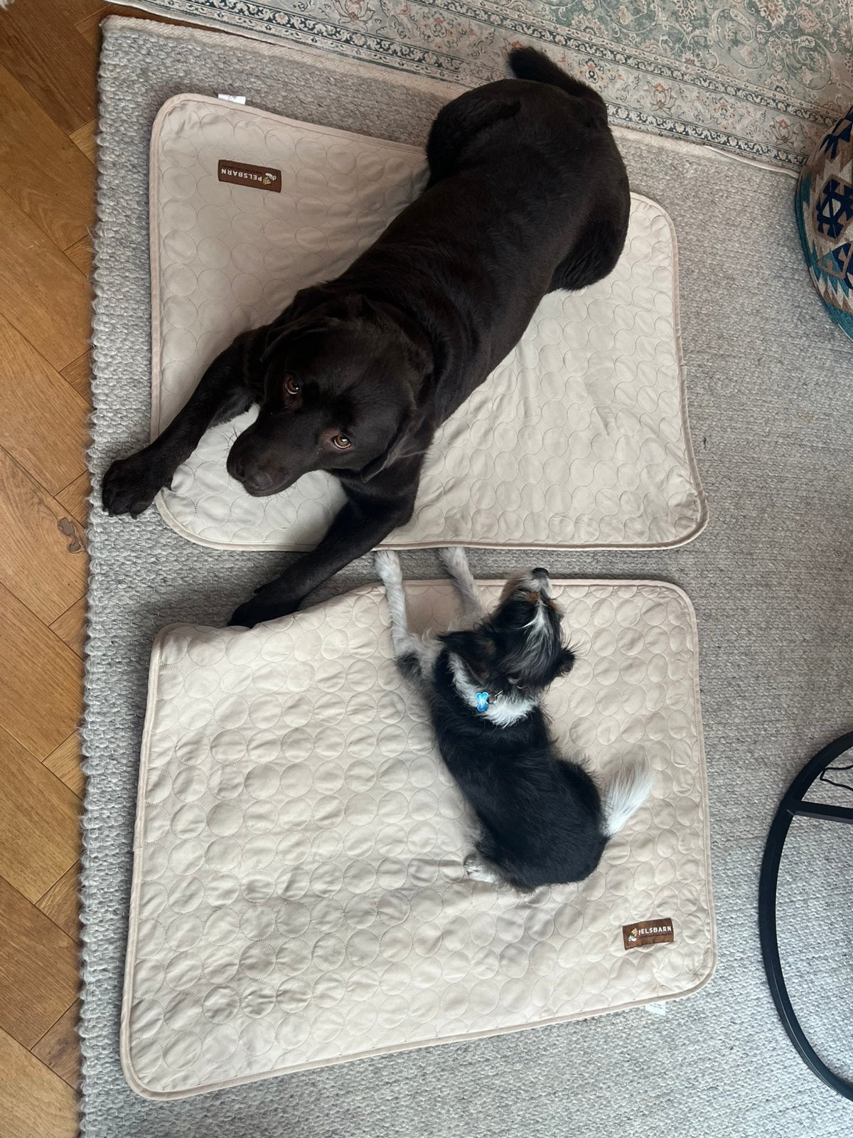 2x een Pelsbarn koelmat L, Dieren en Toebehoren, Honden-accessoires, Ophalen of Verzenden, Zo goed als nieuw