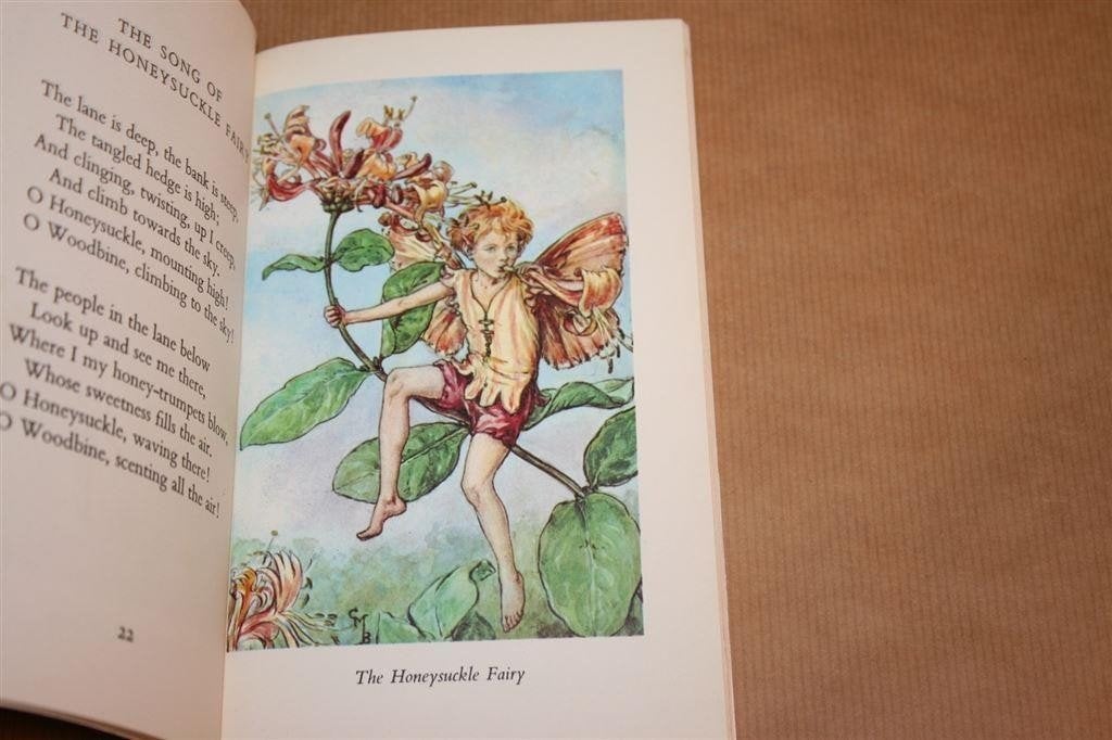 Flower Fairies of the Summer — Bloemenfeeen van Barker, Ophalen of Verzenden, Gelezen