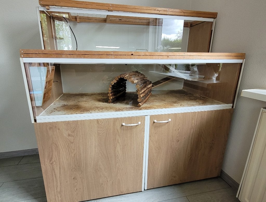Caviahok voor binnen, Ophalen, Kooi, 90 cm of meer, Cavia