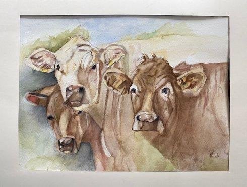 Originele handgemaakte aquarel, gesigneerd, 40x30 cm, Aquarel, Papier/karton, Ophalen of Verzenden, Dieren