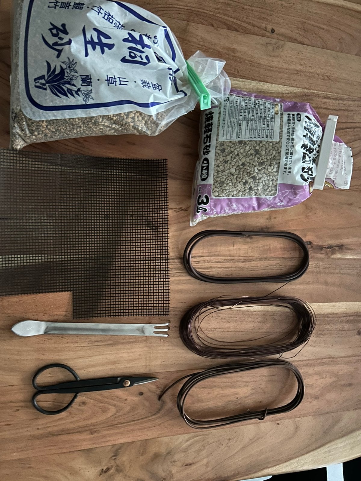 Bonsai assessoires, Bloeit niet, Halfschaduw, Minder dan 100 cm, Overige soorten