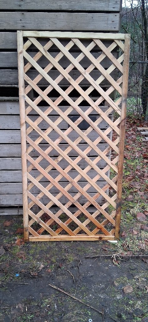 trellis, Tuin en Terras, Ophalen, Minder dan 100 cm, Nieuw, 150 tot 200 cm