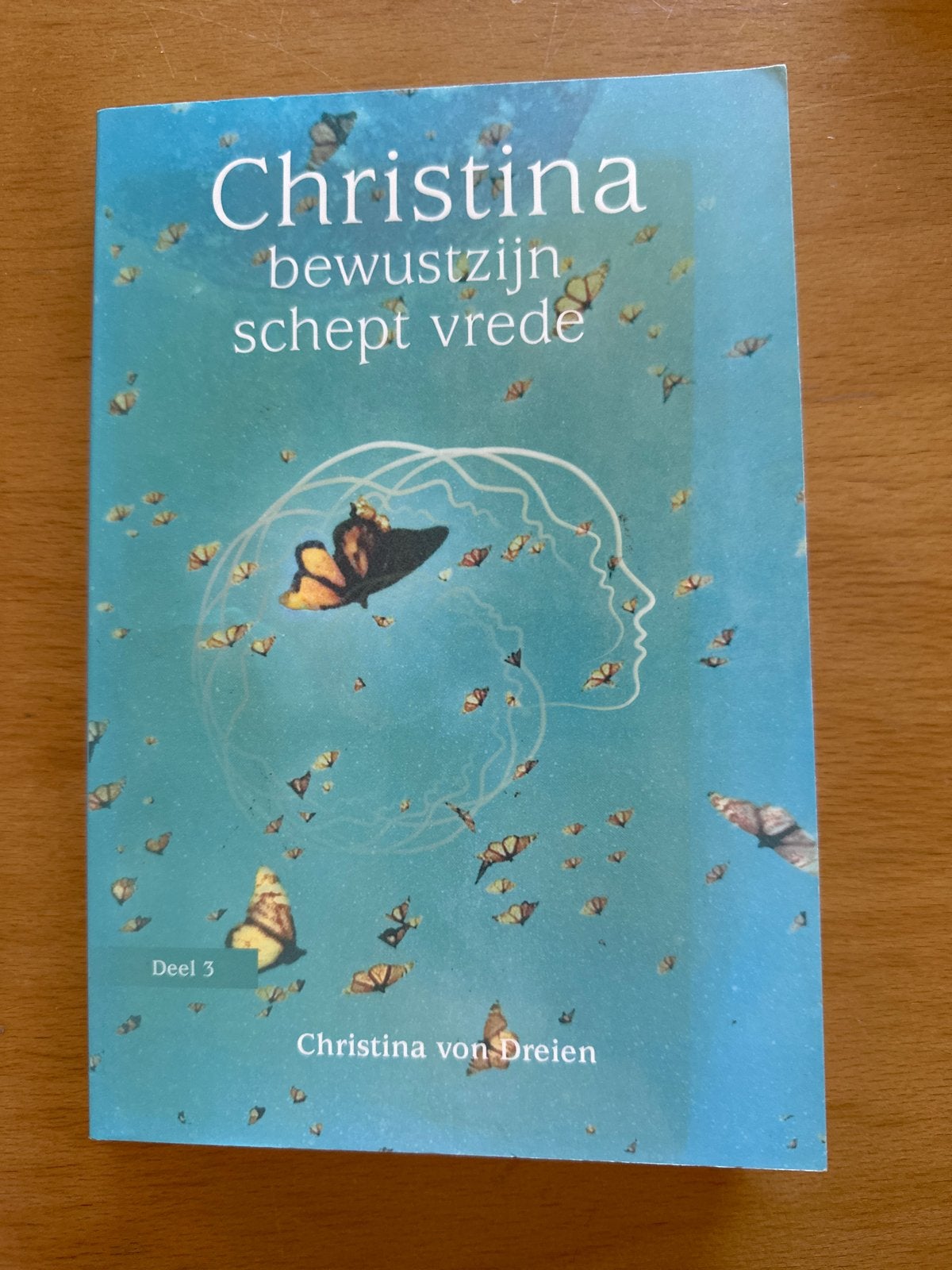 Christina: Bewustzijn schept vrede - Deel 3, Boeken, Ophalen of Verzenden, Nieuw, Spiritualiteit algemeen, Instructieboek