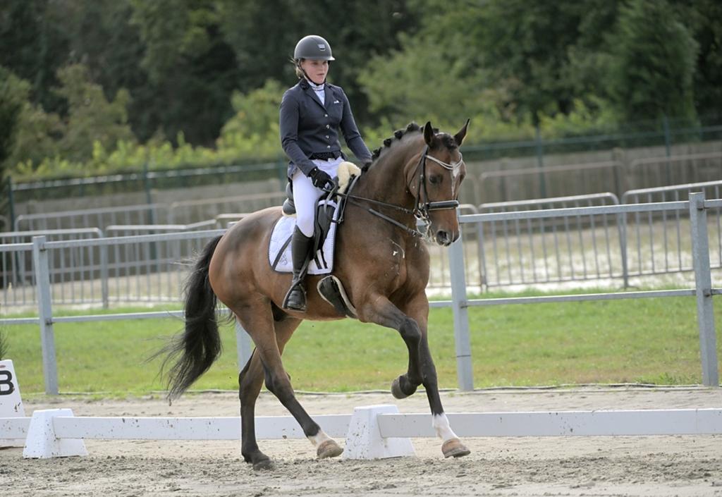 Z paard ter lease, Ruiter of Bijrijder