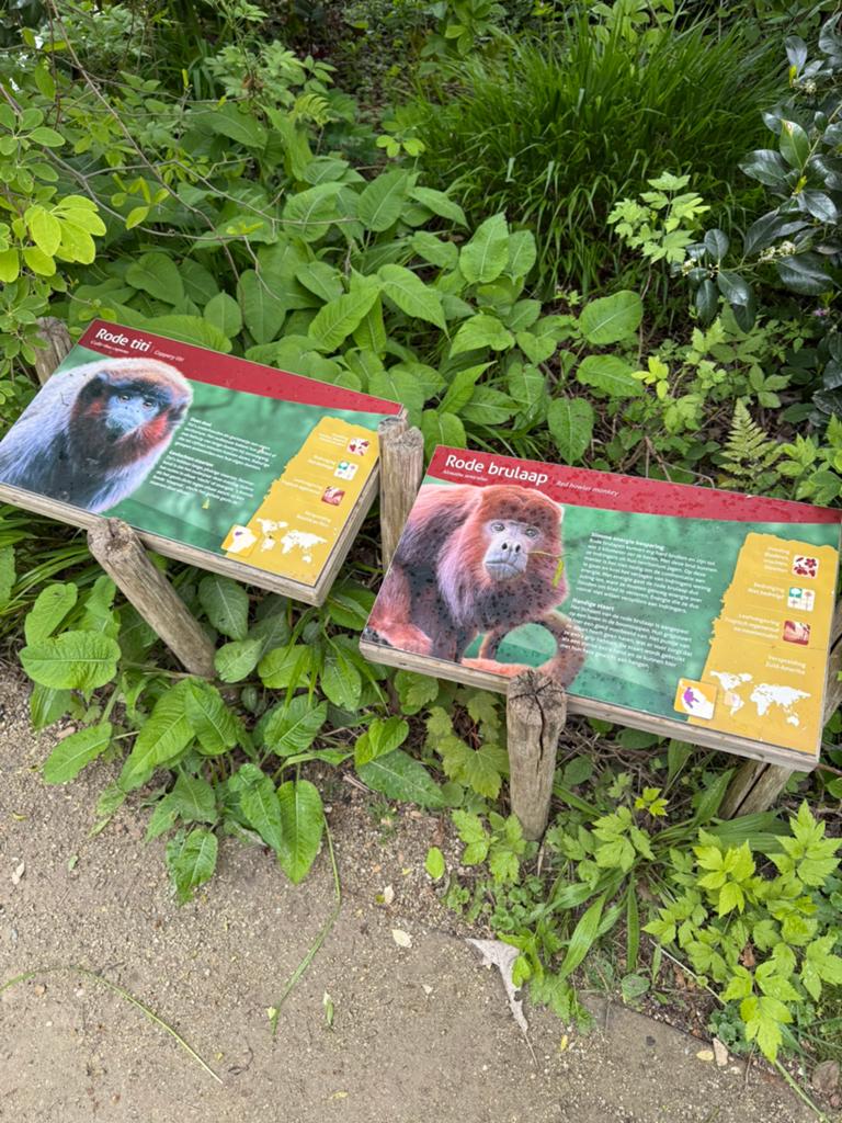 Avifauna geldig tot 31 mei, Kortingskaart