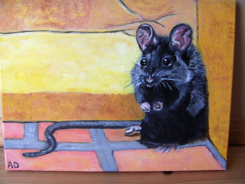 Rat, Acrylverf, Handgeschilderd, Ophalen of Verzenden, Dieren