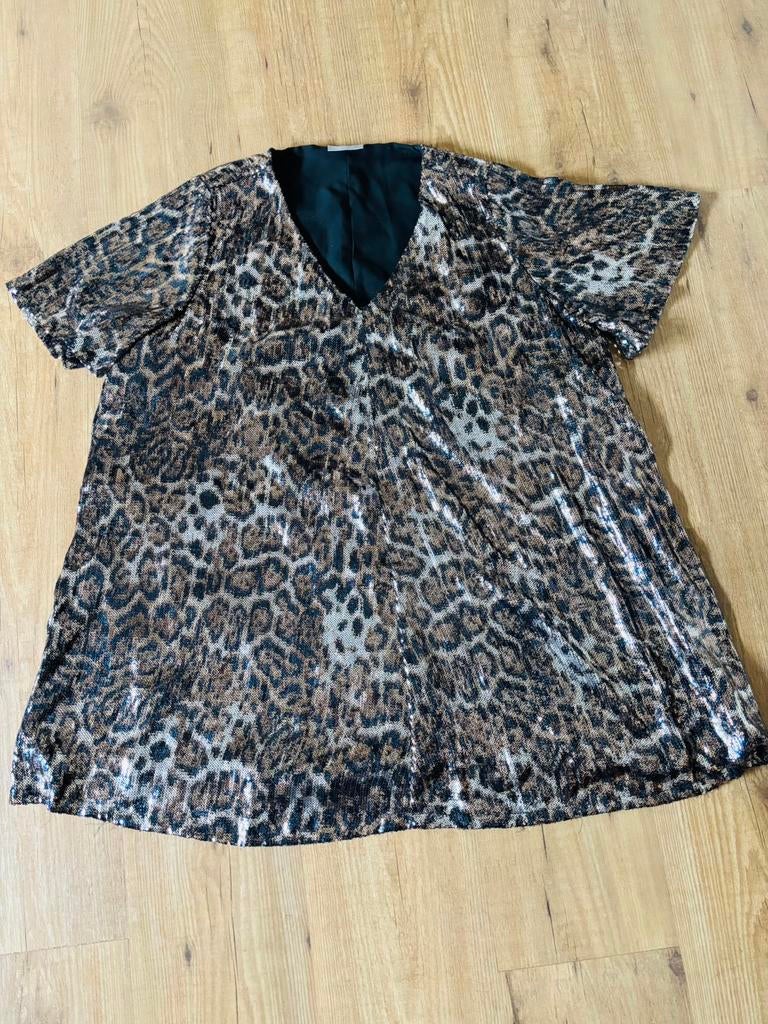 Glanzende A-lijn tuniek 46/48, Ophalen, Zo goed als nieuw, Maat 46/48 (XL) of groter, Overige kleuren