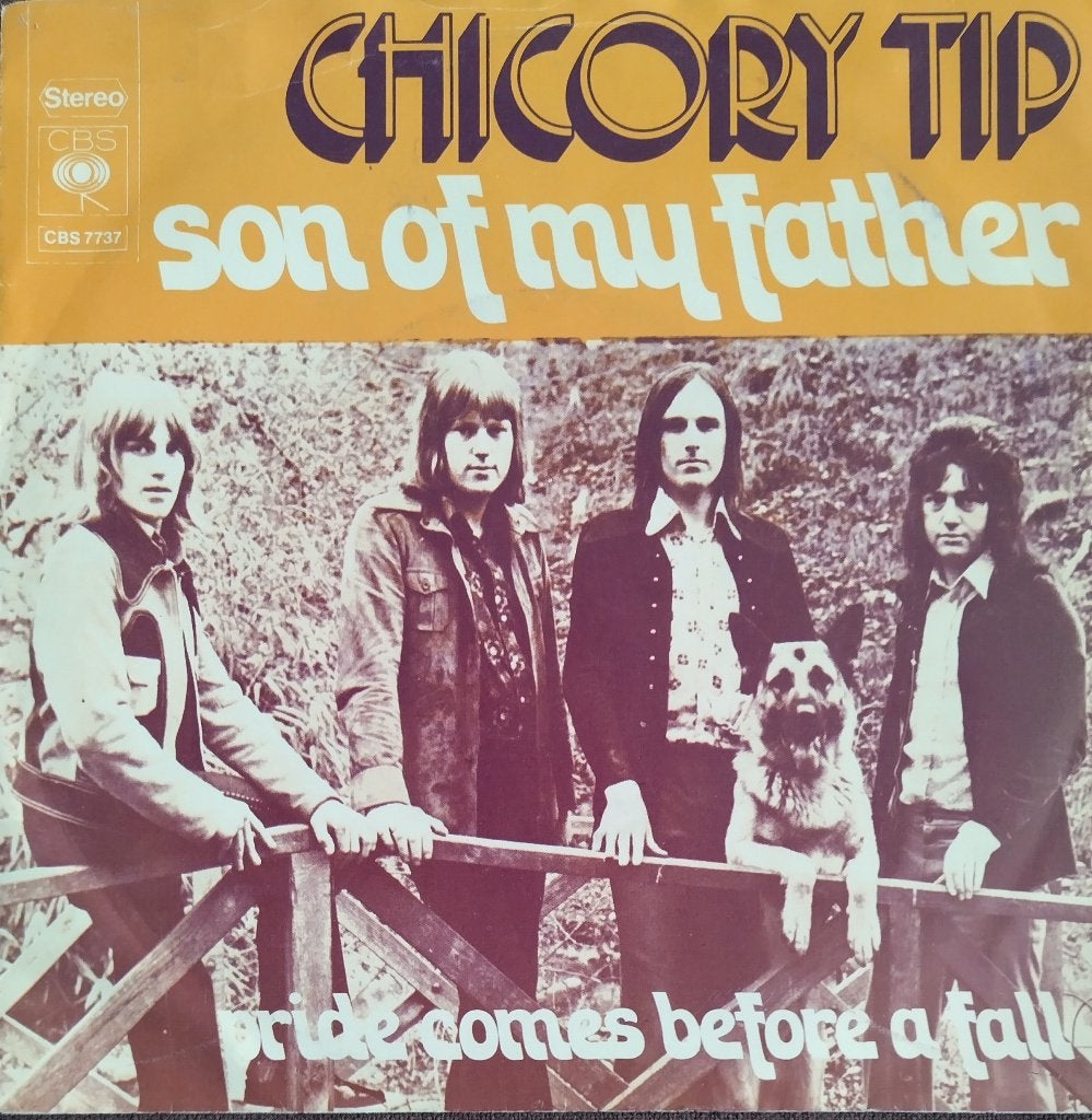 Chicory Tip - Son of my father, 7 inch, Zo goed als nieuw, Pop, Overige typen