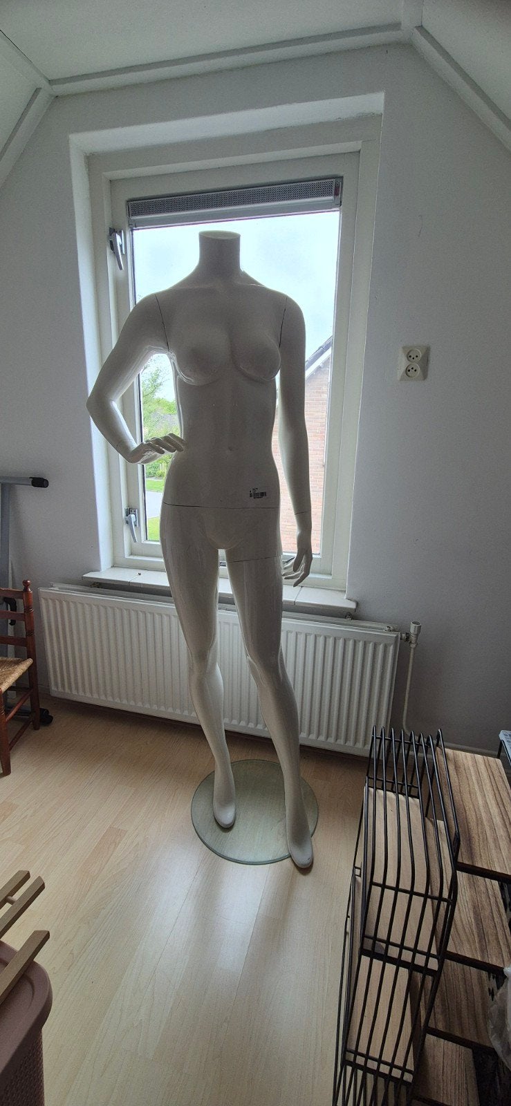 Witte paspop, Ophalen, Gebruikt
